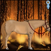 Horse Color:Red Roan 