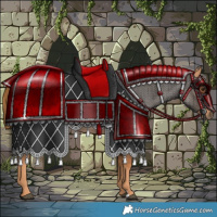 Horse Color:Red Roan 