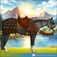 Horse Color:Black 