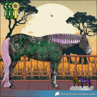 Horse Color:ERROR: UNKNOWN ANOMALY and ERROR: UNKNOWN ANOMALY