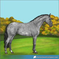 Horse Color:Blue Ice Roan  and Blue Ice Roan 