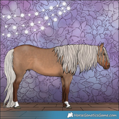 Horse Color:Silver Bay Dun 