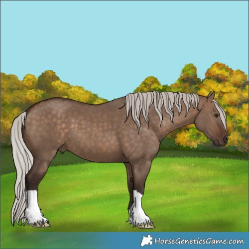 Horse Color:Silver Bay Dun 