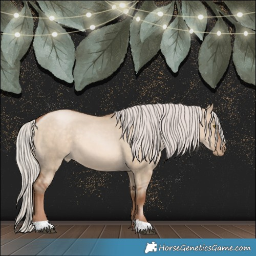 Horse Color:Silver Brown Pearl Dun 