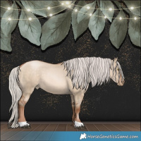 Horse Color:Silver Brown Pearl Dun 