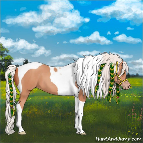 Horse Color:Silver Sable Champagne Tobiano 