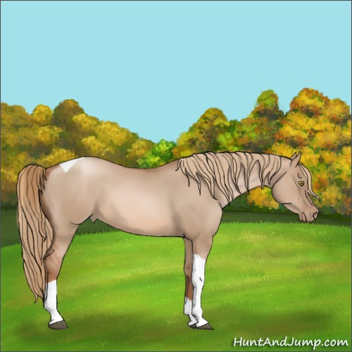 Horse Color:Liver Red Dun Pearl Tobiano 