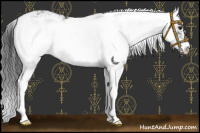 Horse Color:Black Sabino 