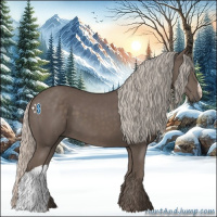 Horse Color:Silver Black 