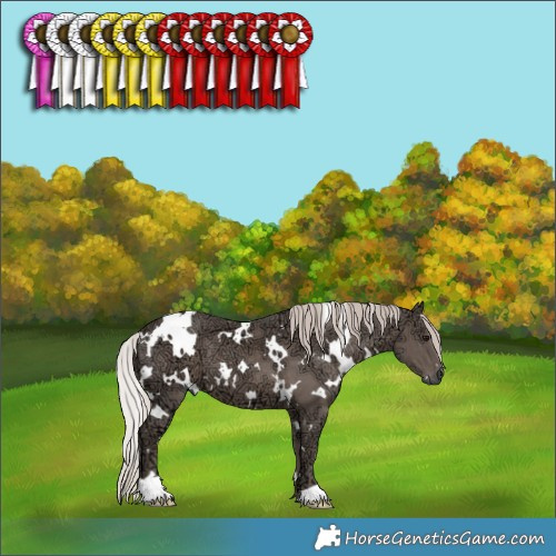 Horse Color:White Spotted Silver Black Ice 