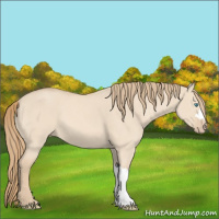Horse Color:Perlino Dun 
