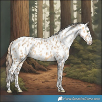Horse Color:Sable Cream Champagne Appaloosa  and Sable Cream Champagne Dun Appaloosa 