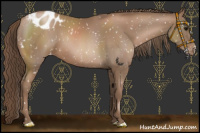 Horse Color:Black Snowdrop Pearl Blanket 
