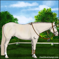 Horse Color:Smoky Creme