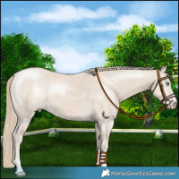 Horse Color:Smoky Creme 