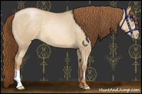 Horse Color:Smoky Grullo Pearl 