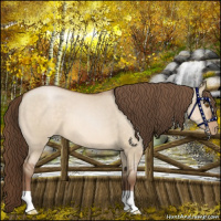 Horse Color:Brown Roan Pearl Dun 