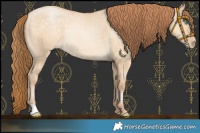 Horse Color:Buckskin Pearl Dun Rabicano 