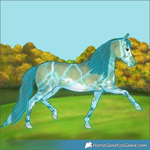 Horse Color:Thunderstruck Watercolor Bay Splash Rabicano 