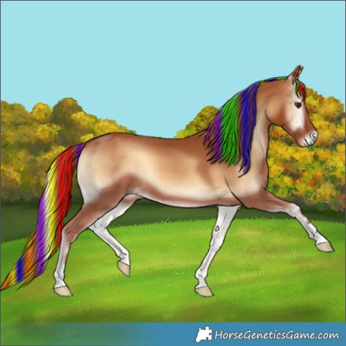 Horse Color:Painted Red Onyx 