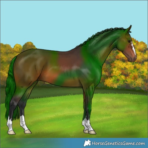 Horse Color:Brown 