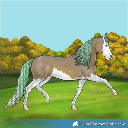 Horse Color:Painted Watercolor Silver Bay Splash 