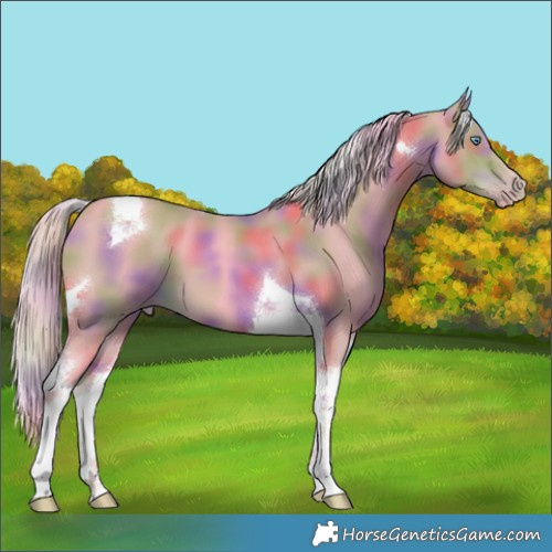 Horse Color:Nacre Watercolor Gold Cream Champagne Tobiano 