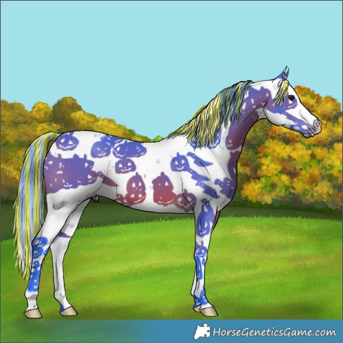 Horse Color:Painted Watercolor Bay Sabino 