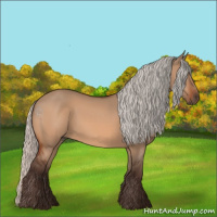 Horse Color:Silver Bay Dun 