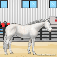 Horse Color:Cremello Sabino  and Cremello Sabino Rabicano 