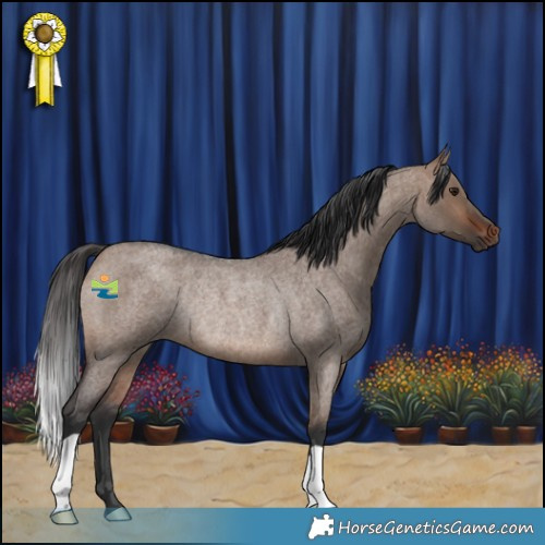 Horse Color:Brown Roan Dun Rabicano 