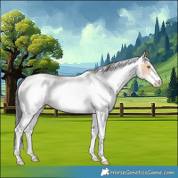 Horse Color:White Spotted Amber Champagne 