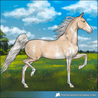 Horse Color:White Spotted Silver Smoky Black Pearl