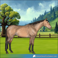 Horse Color:Bay Dun