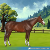 Horse Color:Silver Brown