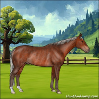 Horse Color:Silver Bay Rabicano