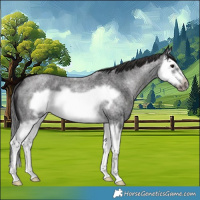 Horse Color:Smoky Blue Roan Splash Frame