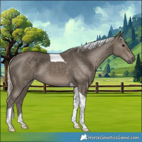 Horse Color:Silver Smoky Black Tobiano 