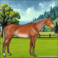 Horse Color:Silver Bay