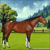 Horse Color:Gray Brown Tobiano