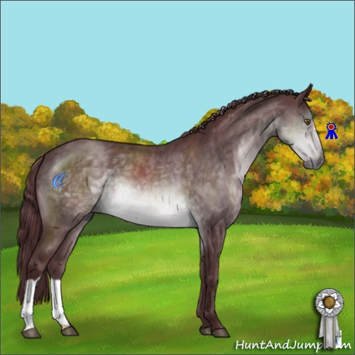 Horse Color:Chocolate Brown Chinchilla 