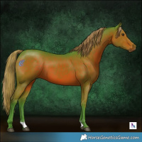 Horse Color:Watercolor Liver Chestnut 