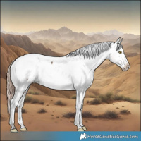 Horse Color:White Spotted Liver Red Dun Snowcap
