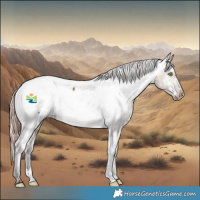 Horse Color:White Spotted Liver Red Dun Appaloosa