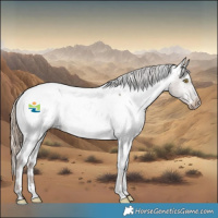 Horse Color:White Spotted Liver Red Dun Appaloosa Rabicano 