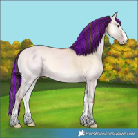 Horse Color:Painted Classic Champagne Onyx 
