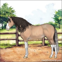 Horse Color:Sable Champagne Splash 