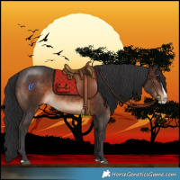 Horse Color:Brown Splash 