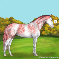 Horse Color:Watercolor White Spotted Liver Chestnut Splash 