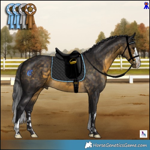 Horse Color:Buckskin 